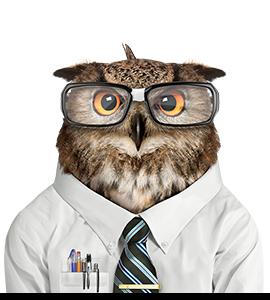 Financial Avenue owl: a lifelike howl wears glasses, tie, and white shirt with pocket protector